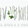 Asparagus Pasta Salad Recipe