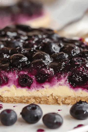 blueberry dessert bars