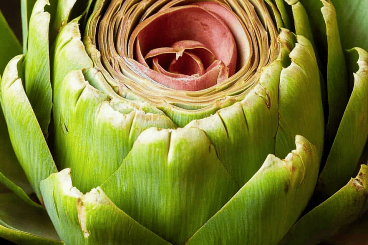 Cook artichokes